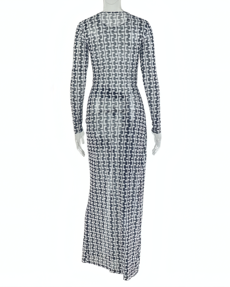 Jocelyn Mesh Maxi Dress