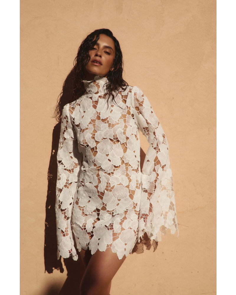 Ivory Shell Embroidery Dress