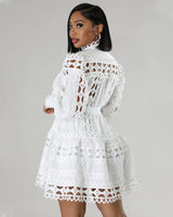 Tint Of Love Lace Dress