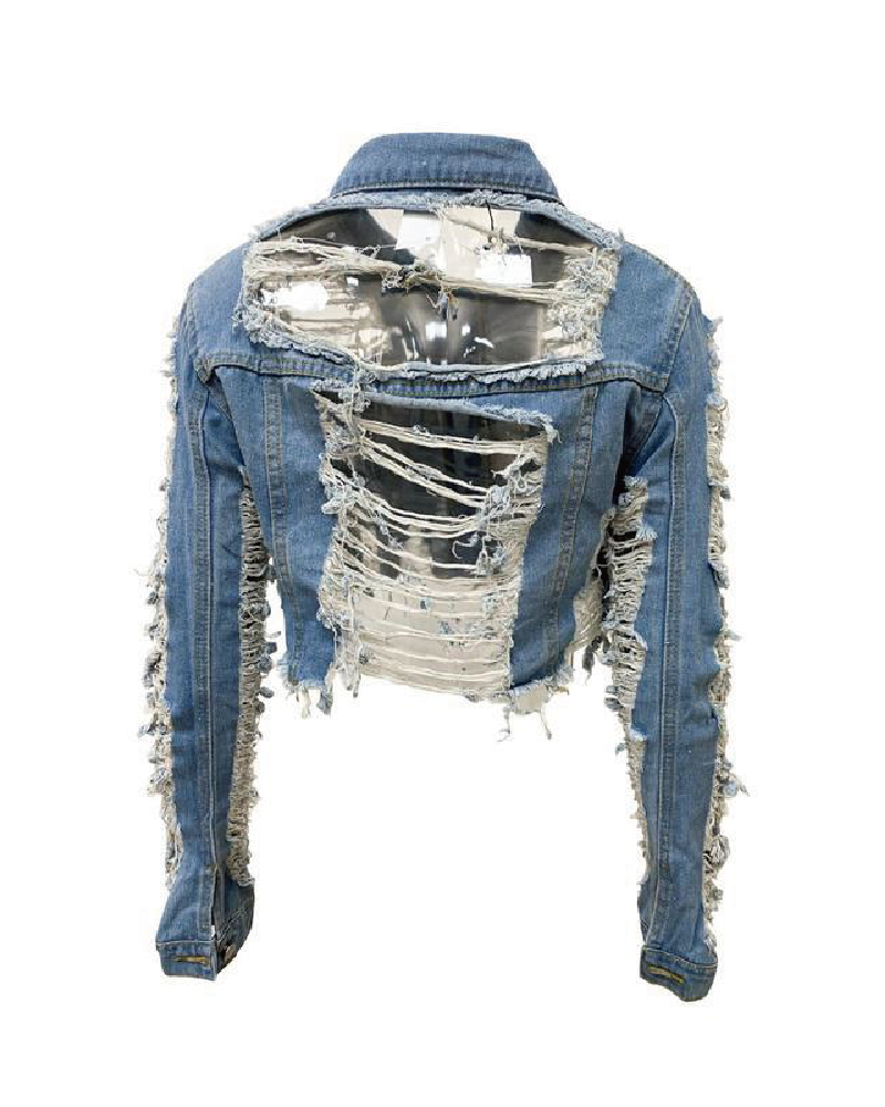 Ripped Crop Denim Jacket