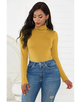 Pamela Turtle Neck Long Sleeve Bodysuit